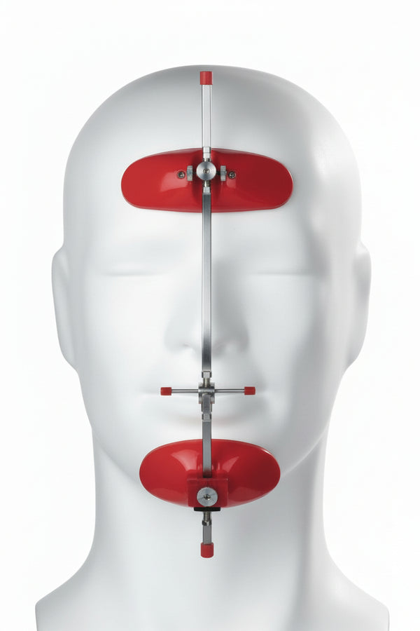 MASCHERA FACCIALE DINAMICA REG. VERT. LEONE