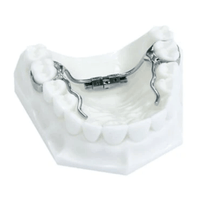 Preparazione del Modello